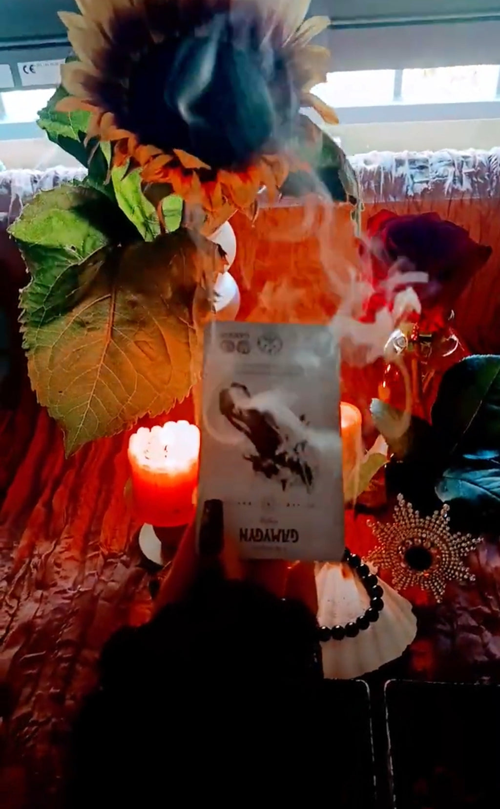 Tarot Reading Divination